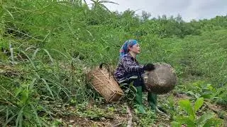 A girl went alone to weed cassava and met a bad guy.