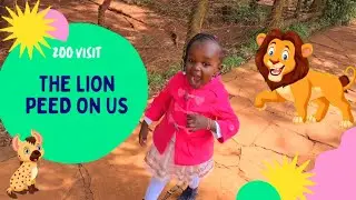Come with me to the Zoo-The Nairobi Animal Orphanage.Let's see wild animals🦁🐒🐆