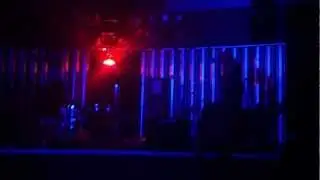 A Disco For Ferns