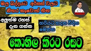 Kohila Ala Kirata | කොහිල අල කිරට රසටම හදමු | Easy Sri Lankan Curry Recipe