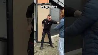 Er zijn 5 soorten beveiligers | #reactionsecurity