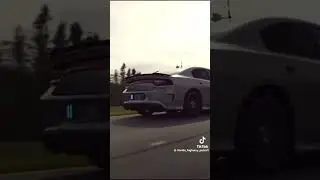 Florida highway patrol