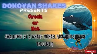 Swallowed by a Whale: Michael Packard's Strange Encounter