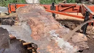 Milling a Burr Oak (logs to lumber) on a Wood Mizer Sawmill.