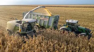 Chopping Earlage Silage | Claas Jaguar 960