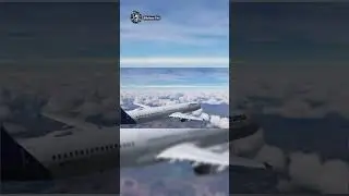 Watch the rest of the episode! #aircraftcrash #aviation #flights