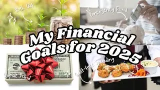2025 Financial Goals As A Middle-Class, Single Income Living in Southern California