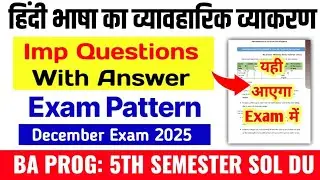 DU SOL | Hindi Bhasha Ka Vyavharik Vyakaran Important Questions With Answer BA Prog 5th Semester