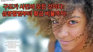 「사진 구도의 모든 것」