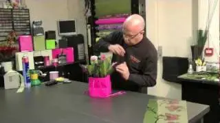 32. Small Rose Plant Gift Wrap