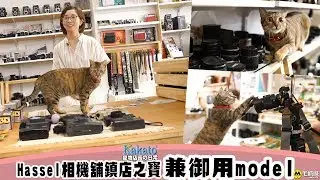 【Kakato 特約 寵物店長之日常】 Hassel相機舖鎮店之寶兼御用model