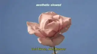 Axel Mansoor - Cold Sweat (slowed)