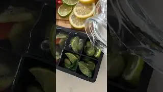 ice tray refill🫐🥒🥝🍋 #aesthetic #amazonproducts #amazon #ice