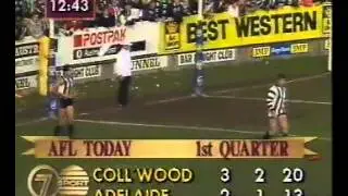 1991 AFL Season   Round 15   Adelaide Crows v Collingwood ; 1st quarter