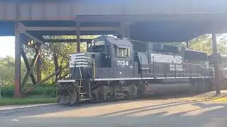 NS at shiplock park