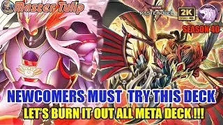 NEWCOMERS MUST TRY THIS DECK! BLACKWING CHEAP & META (SEASON 40)