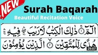 Quran pak Urdu Lafzi(Word By Word) Translation قرآن پاک میری زندگی ہے سورہ البقرہآیت 2#surhbakravira