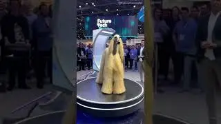 From Messy Mop to Best In Show: AI Transforms Afghan Hound! II  #shorts #animals