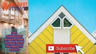 Fall Residential Property Pest Control Facts You Need to Know! | Wildout Animal & Pest Removal
