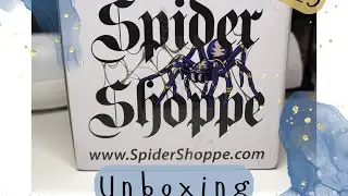 Unboxing dwarf tarantula slings from Spider Shoppe.