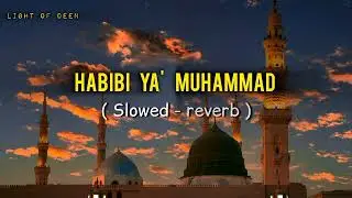 Habibi Ya Muhammad ﷺ | Beautiful Nasheed | Vocals Only | No Copyright