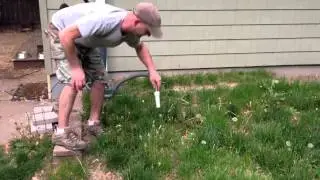 Dandelion killer!!