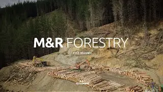 Forests with a Future | M & R Forestry