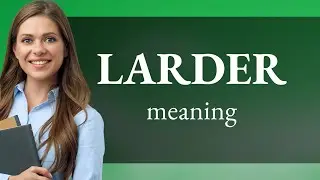 Larder | LARDER meaning