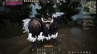 BDO Horse Gear outfit Dye for DK combo