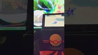 Who Chein variocolor #pokemonshiny #pokemon #pokemongo #nintendoswitch