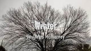 'Winter' written by James McInerney, created and recorded by Acacia Danielsson.
