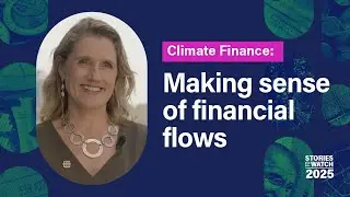 Where will the money come from? Making sense of the financial flows