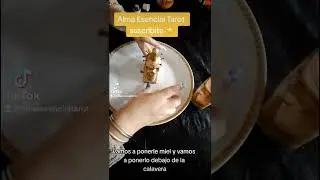 Dominio mental para que nos de dinero 🌟🍀💶