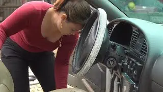 Buy back car and deep clean the dirtiest car with mud that has been there for years (3)