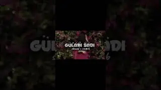 Hindi *music Hindi #song Raju Bhai #channel Garib Gaurav Film gand mara Mari Ela