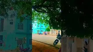 Kurnool  government hospital Vella #viral #shortvideo #shorts