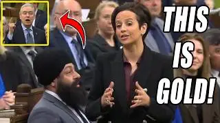Carney Liberals YELL At Conservatives After Getting DESTROYED