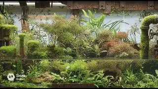 Come and check this out! It's definitely a fish tank design you've never seen before.