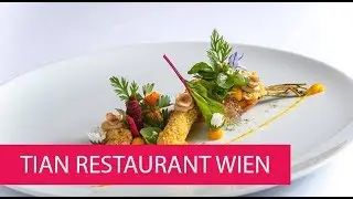 TIAN RESTAURANT WIEN - AUSTRIA, VIENNA