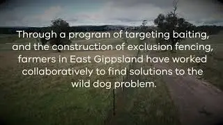 The Mental Health Benefits of Exclusion Fencing