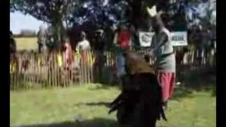 Full metal combat