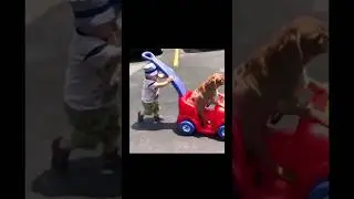 Funny Adorable Babies Driving Skills 🤣😂🤣 #baby #funnybabies #shorts #funnyvideo #cute #funnymoments