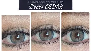 SIESTA BLACK ROMANCE CEDAR - Me Encantaron ✨