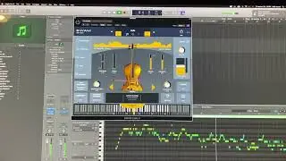 Swam modelling viola türkish