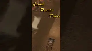 Casual Percutio Hours | Foxhole
