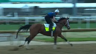Kentucky Derby horse: Journalism