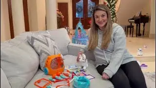 Review of this Cat Toy with Veterinarian Playset