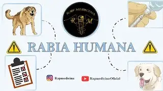 Rabia - Mordedura de un animal - Rap Medicina - R4