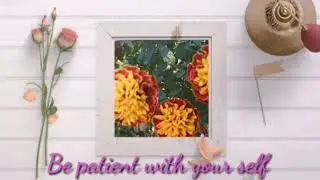 Be patient with your self #Flower #Bloom