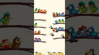 Bird Sort Color Game || Android Gameplay || Wingman